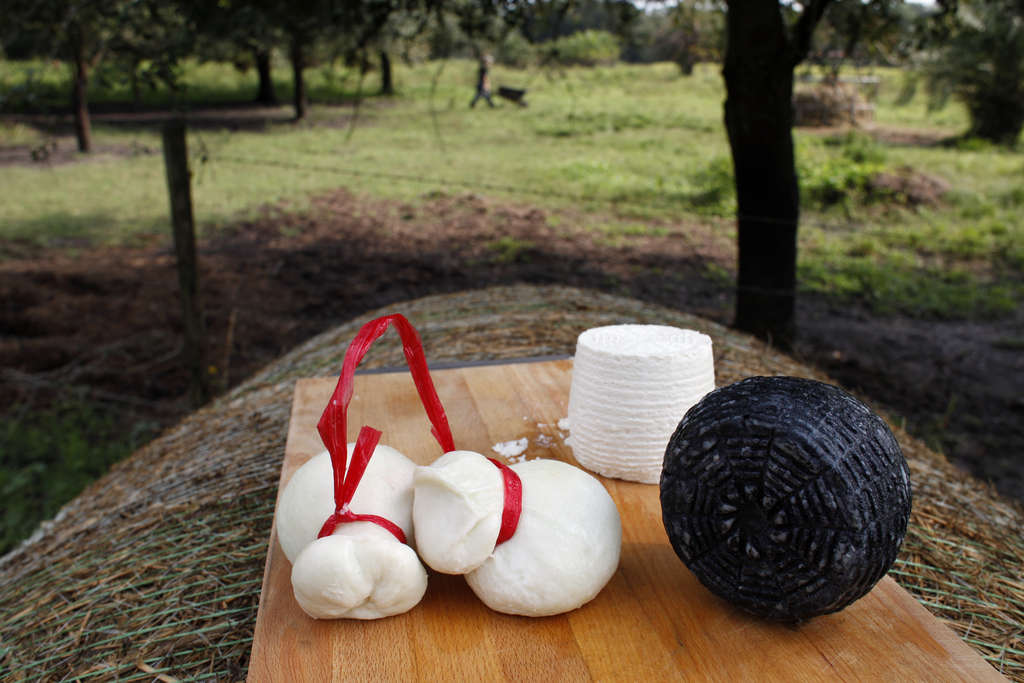 a variety of cheeses on a table outdoors