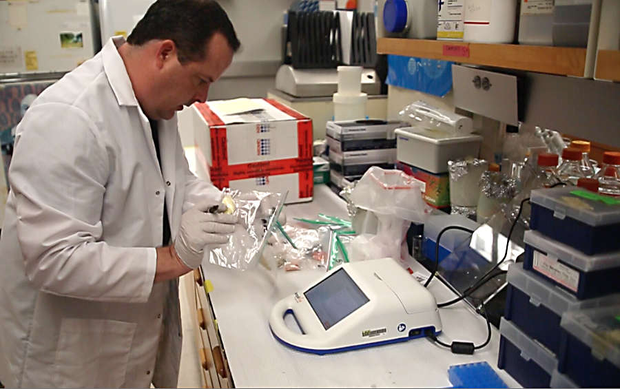 Scientist testing food in a laboratory
