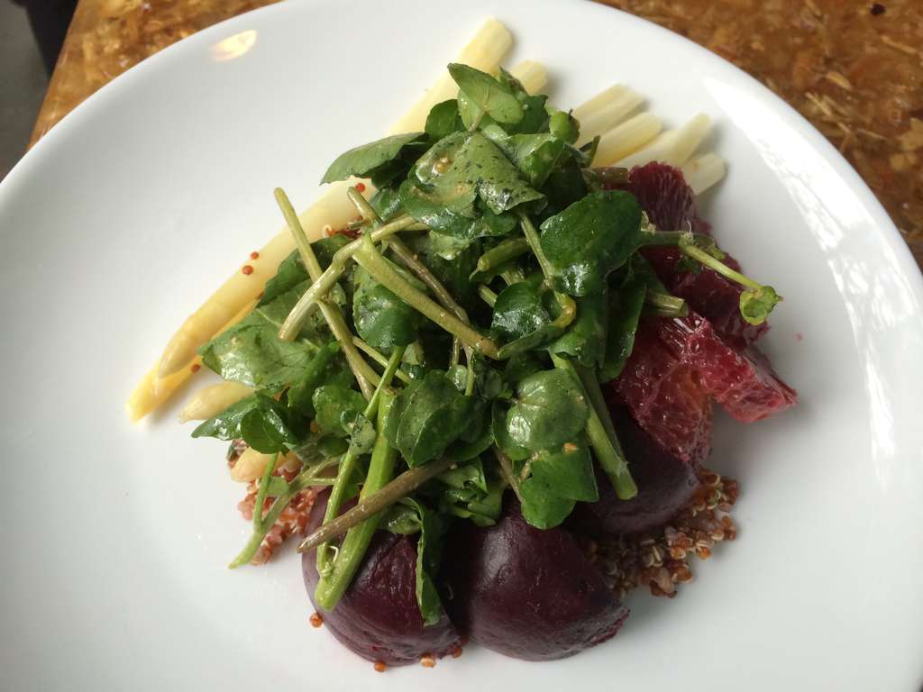 Plate of salad